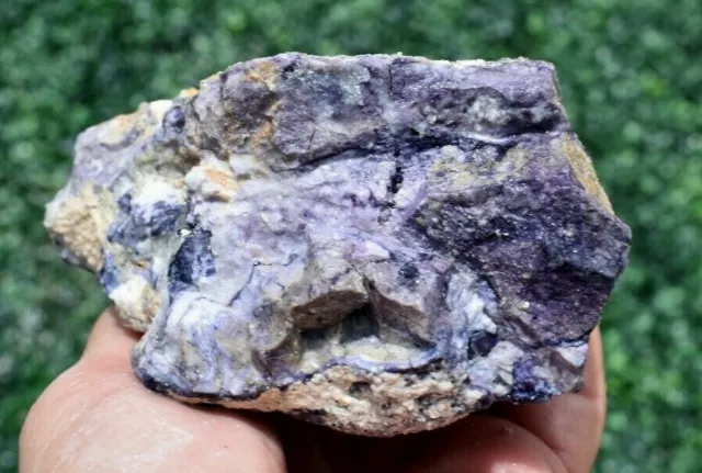 0.76 LB AAA PLUS TIFFANY STONE ROUGH, BERTRANDITE, Fluorite (BXD)