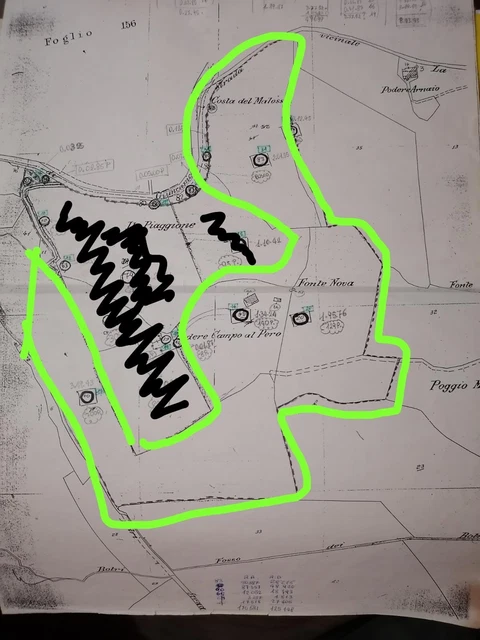 In traumhafter Lage: Landhaus in Toskana mit Olivenhain 9 ha, Meer 20 km