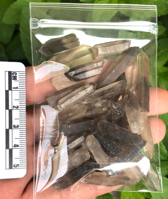 2 oz Raw Smoky Quartz Crystal Small Short Rough Points Smokey