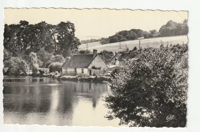 SAINT HONORE LES BAINS - Nievre - CPA 58 - l' étang du Seu - carte photo, 1960