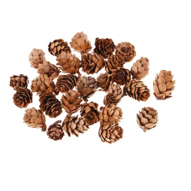 Mini conos de pino seco natural a granel 180 piezas Navidad para adornos de acentos