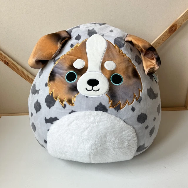 Squishmallows 20” Raylor Dog Australian Shepard Super Soft Plush Aussie