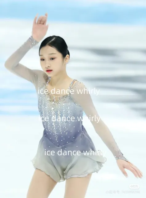 1090 Ice Figure Skating Dress Girls Women Long Sleeve Figure Skating Dresses