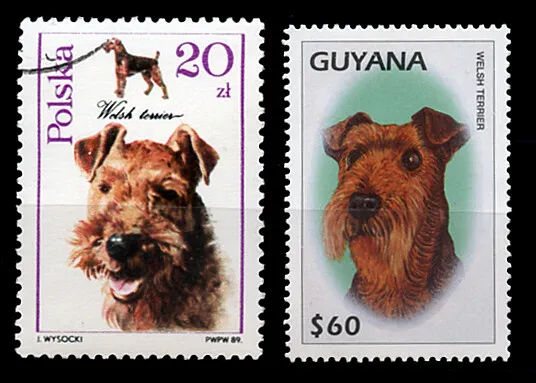WELSH TERRIER DOG POSTAGE STAMPS x 2 from Poland and Guyana