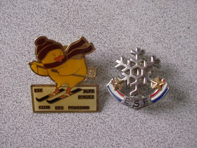 vintage AUTOCOLLANT FLOCON savoie ESF VALLOIRE station sports HIVER