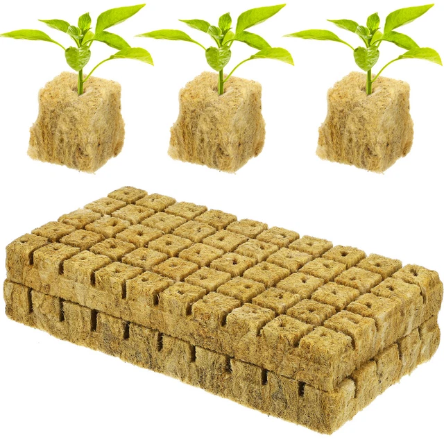 100 Pcs Hydroponic Plant Reproduction Fruits and Vegetables