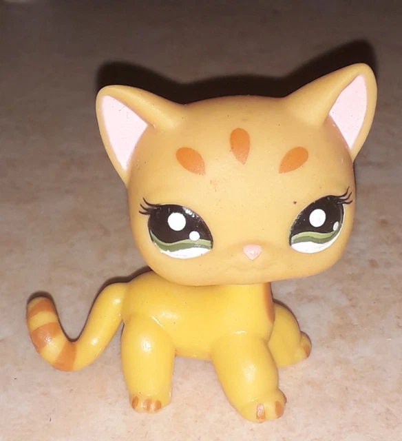 Figurine PETSHOP Chat Européen N°1377 - Occasion