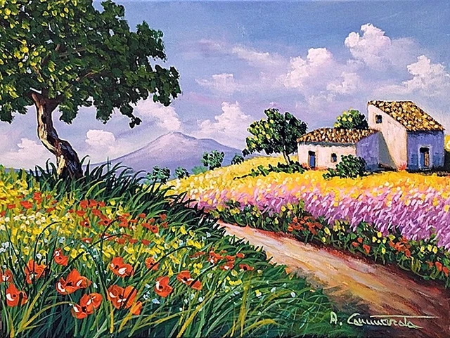 PAESAGGI DIPINTI CAMMARATA Quadri olio su tela 30x40 cm EUR 100,00