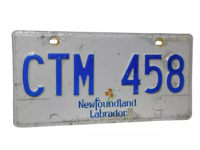 Newfoundland Labrador License Plate Picture Plant Canada Souvenir Sign Ctm 458