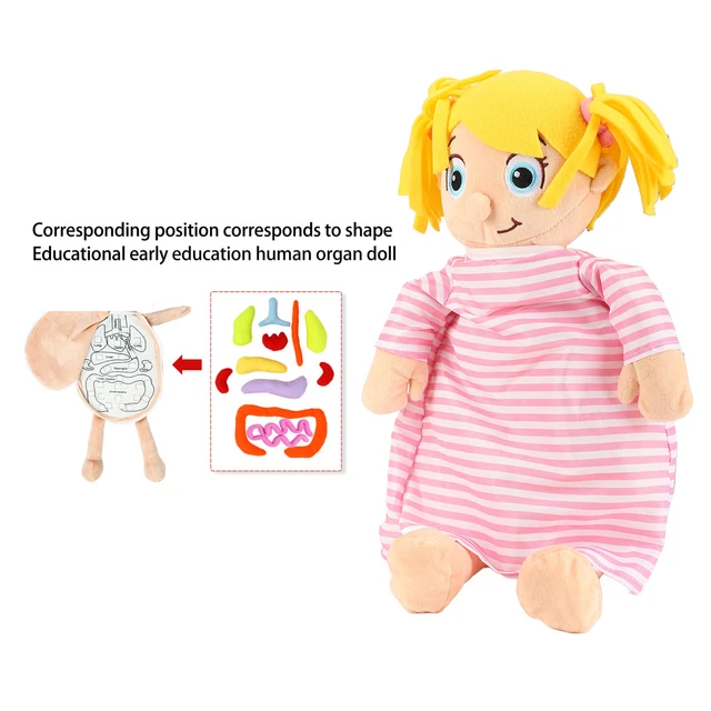 GIRLS EARLY LEARNING Organ Toys Body Organ Stuffed Toy Human Body