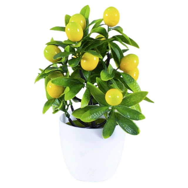 Arreglo floral de boda falso limonero en maceta mini plástico