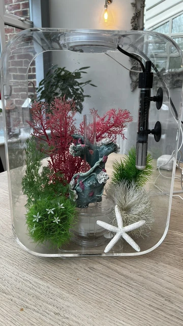 Biorb Life 15L Clear Aquarium Acrylic Fish Tank Package With Many Accessories