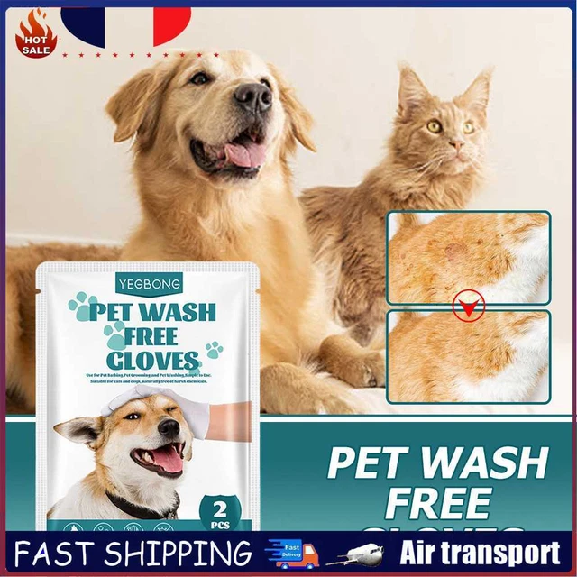 No Rinse Cats Dogs Cleaning Gloves Disposable Pet Stain Remover Wet Wipes (2pcs)