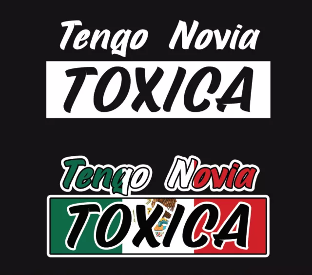 ALEJATE TENGO UNA NOVIA TOXICA STICKER DECAL CALCOMANIA DE VINILO NEGRO  11" 😠
