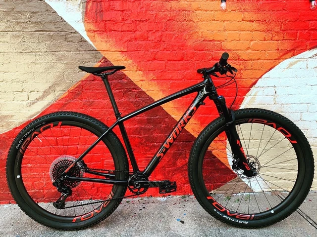 2019 s works epic hardtail online