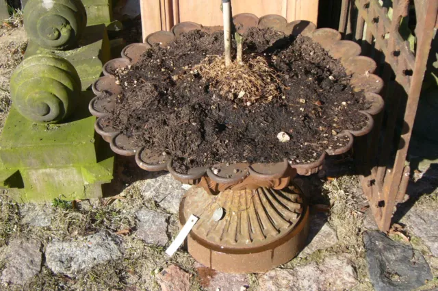 Vase Pflanzgefäß Blumentopf  Pokal urn Brunnen Steinfiguren Berlin Pflanzgefäß