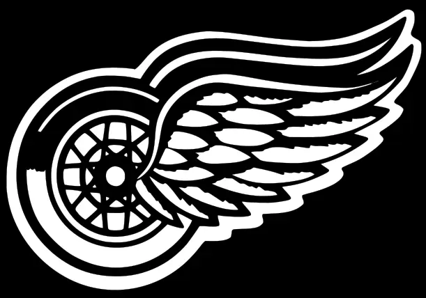 Detroit Red Wings Vinyl Decal Sticker - You Pick Color & Size