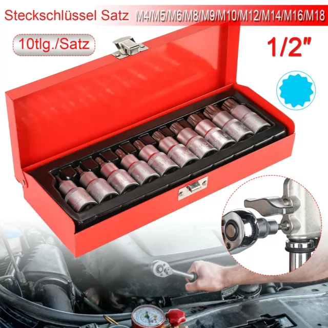 10tlg Innen Vielzahn Steckschlüssel Set 1/2" Nüsse M4-m18 Nuss Set Stecknüsse DE