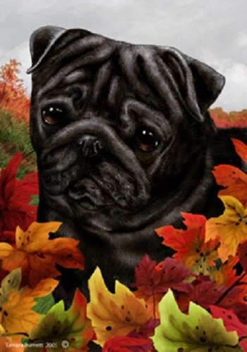 Fall Garden Flag (TB) - Black Pug 130891