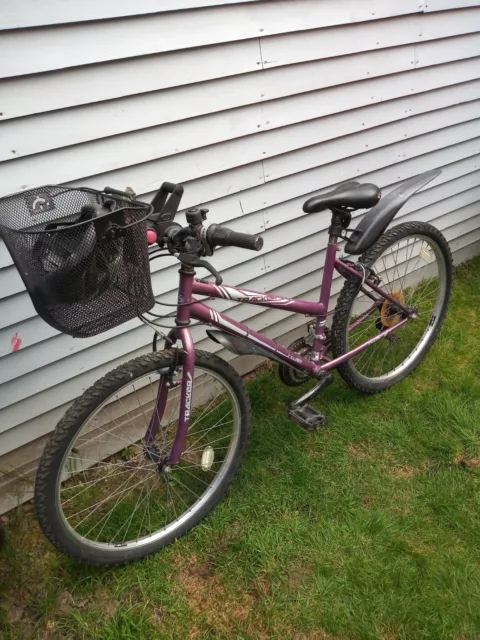 Free spirit 15 speed bike cheap