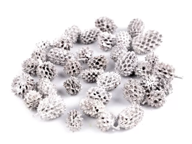 (0,083€/St.)  25g Zapfen  ca.: 30Stück   +/- 2cm  getrocknet Natur basteln