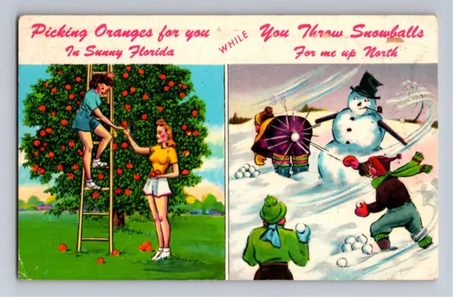Postcard Humorous Greeting Card from Florida to Pennsylvania    C-14
