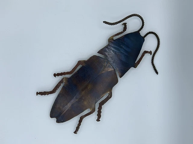 Metal Iron Beetle Bug Wall Hanging Outdoor Garden Antenna 10.5”