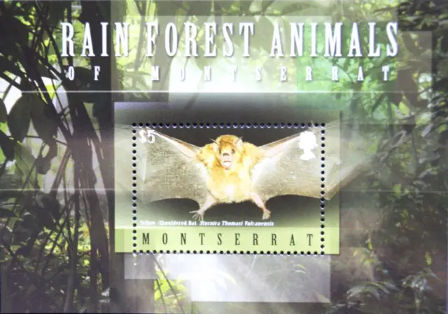 MONTSERRAT 2009 Block 129 Regenwald Tiere Fauna Gelbschulterfledermaus Bats MNH