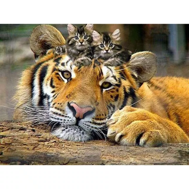 fr 5D DIY Full Drill Diamond Painting Tiger Cross Stitch Embroidery Mosaic Kit