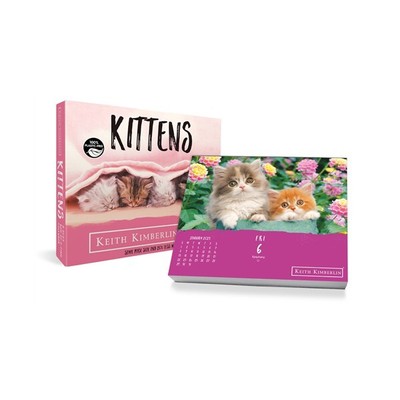 TRENDS INTERNATIONAL 2023 Keith Kimberlin Puppies Day-at-a-Time Box