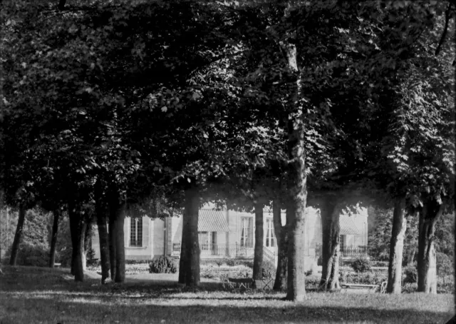 Antique photo glass plate negative 13x18 cm landscape park trees, château France