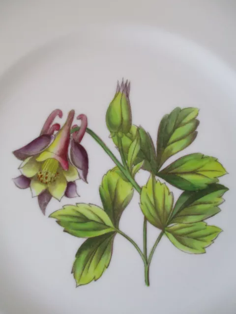 Royal Worcester Hand-Painted Porcelain 9-1/4" Luncheon Plate - Columbine