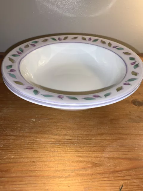 Marks and Spencer Bowls Berries and Leaves Spares 2x Bowls Dessert Cereal 7 In’s