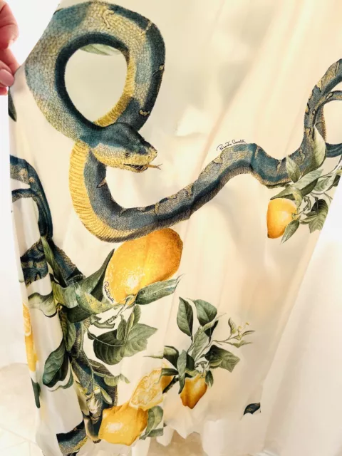 ROBERTO CAVALLI Snakes and Lemons Silk Dress S $2,700.00 - PicClick
