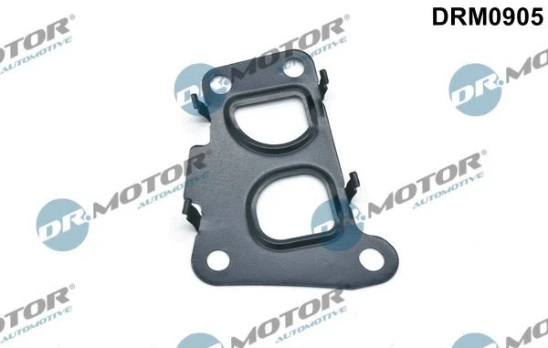 Dr.motor Automotive Drm0905 Guarnizione Valvola Agr per Fiat Opel Stilo + 00-12