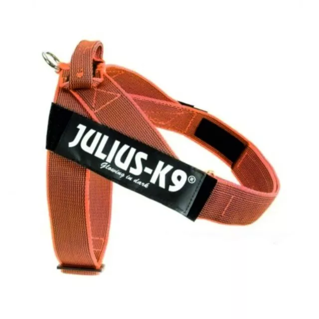 Pettorina Cane JULIUS-K9 IDC Belt Harnesses Arancio