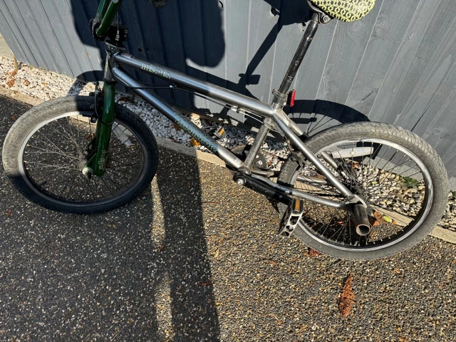Mongoose mischief clearance