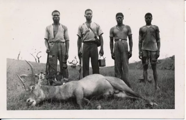 LUOZI 1932 - Chasse Antilope Congo Belge - CB 58