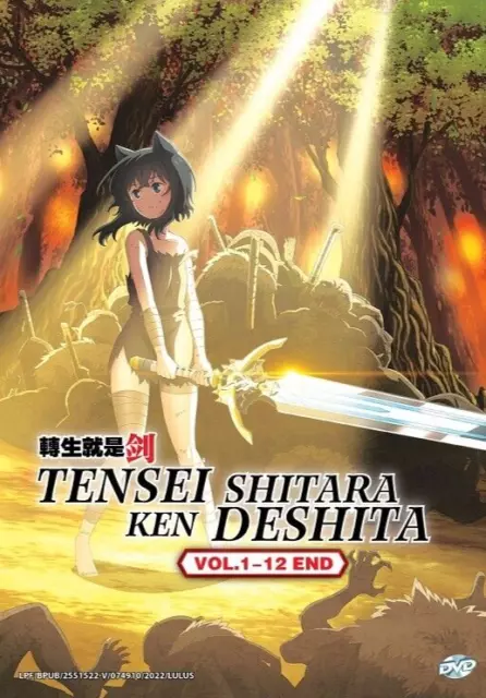 DVD Anime Kenja No Mago Vol.1-12 End English Dubbed All Region for sale  online