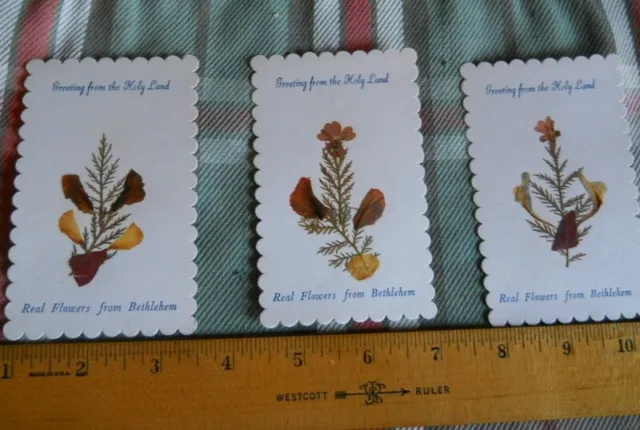 5 (five)Vintage carded BETHLEHEM FLOWERS FROM THE HOLY LAND Souvenir Keepsake