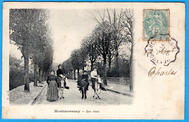 Cpa 95 Montmorency - Les Anes