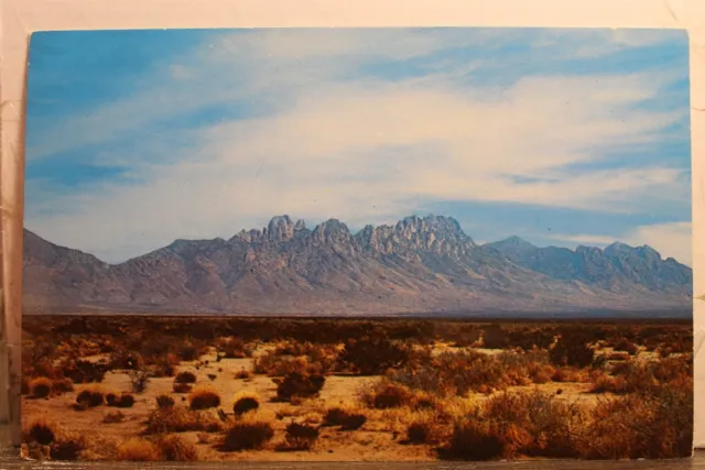 New Mexico NM Las Cruces Organ Mountains Postcard Old Vintage Card View Standard