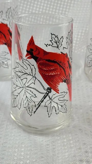 Vintage Hand Painted Cardinal Glass Tumbler 5" ZZ
