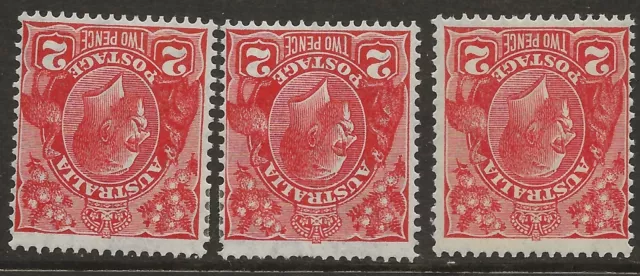 KGV     2d  RED     C of A WATERMARK'S   ALL INVERTED    3 STAMPS   MINT