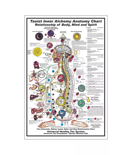 Taoist Inner Alchemy Anatomy Chart Wall Art Painting Poster Print 36x24 inches