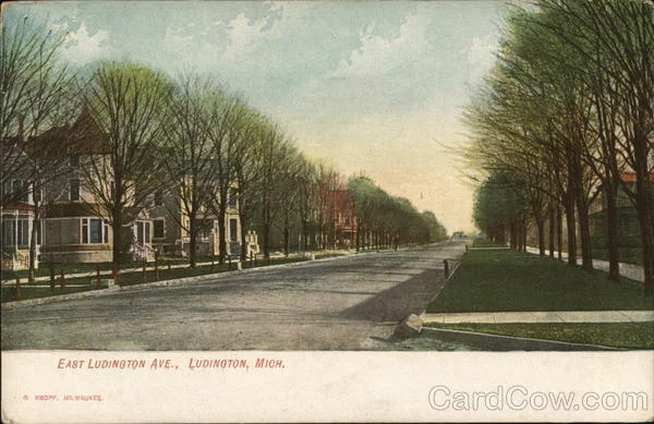 East Ludington Ave,MI Kropp Mason County Michigan Antique Postcard Vintage
