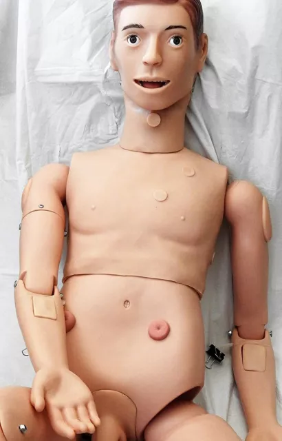 Lifesize human manikin model nursing medical school patient care teaching male