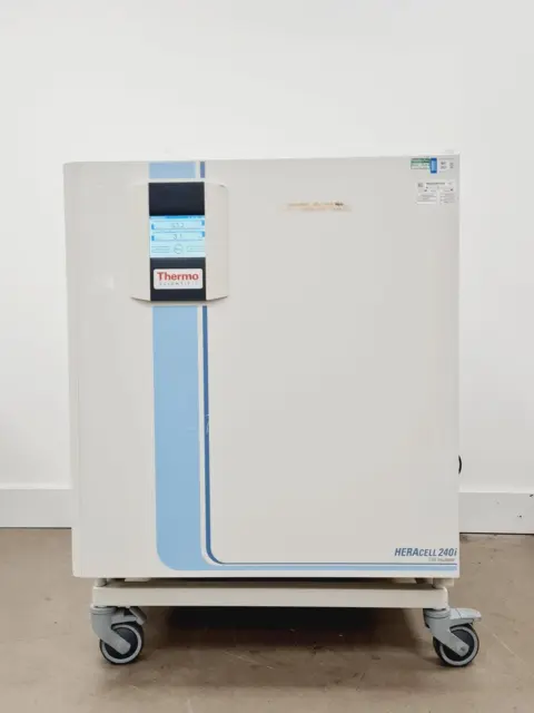 THermo Scientifique Heracell 240i CO2 Incubateur Labo