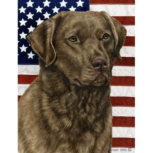 Patriotic (D2) House Flag - Chesapeake Bay Retriever 32070
