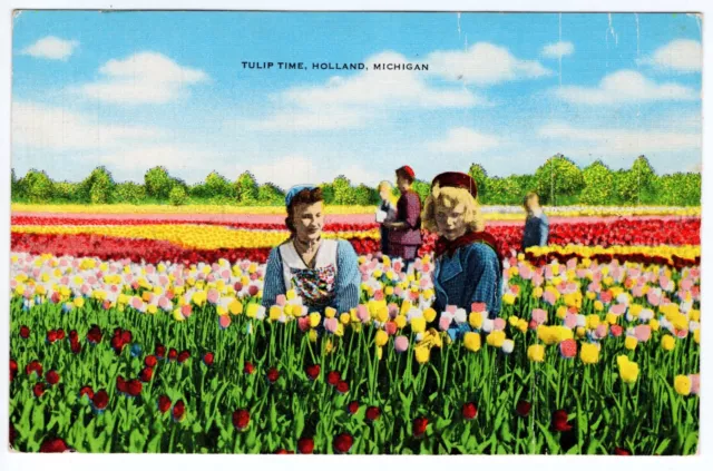 Holland, MI Postcard - TULIP TIME in HOLLAND, MI - Unposted LINEN